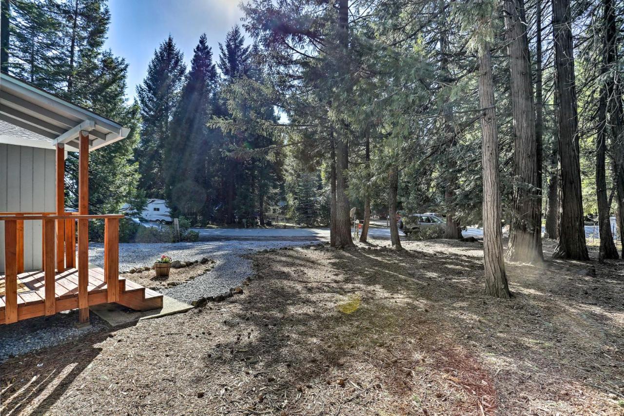 Base Camp Lassen Home 13 Mi To Volcanic Natl Park Shingletown Exteriör bild