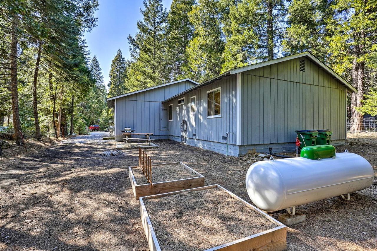 Base Camp Lassen Home 13 Mi To Volcanic Natl Park Shingletown Exteriör bild